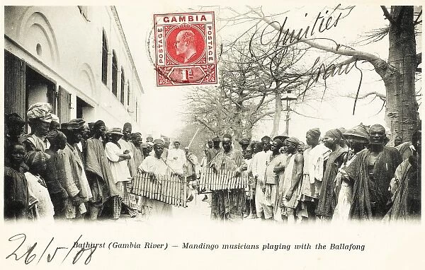 Gambia - Bathurst - Mandingo Musicians
