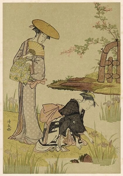Gardens  /  Iris Japan 1908