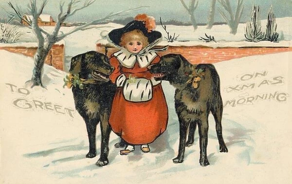 Girl and Dogs
