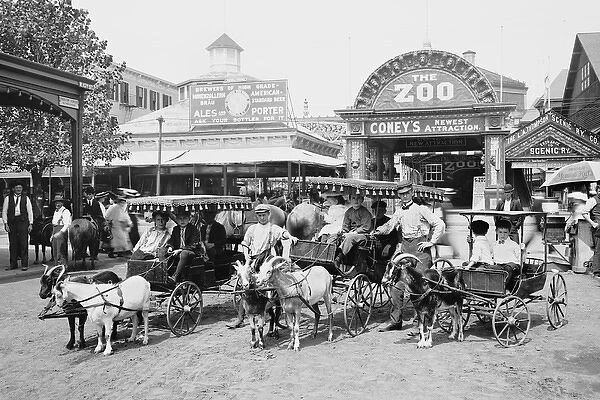 The Goat carriages, Coney Island Amusement Park, New York