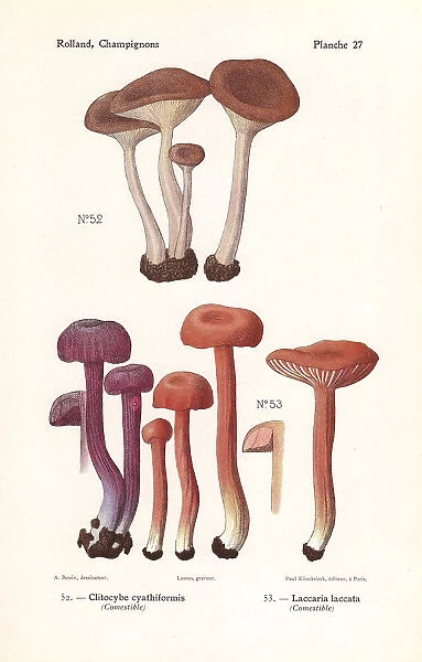 Goblet funnel cap and the deceiver