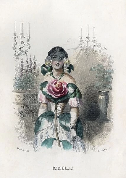 Grandville Camellia 1847