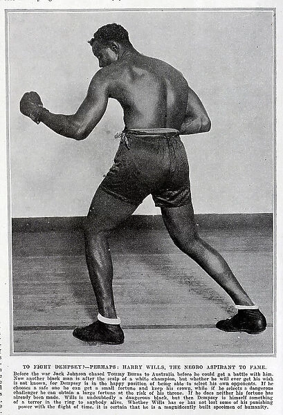 Harry Wills, Boxer