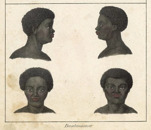 Heads of Bushmen