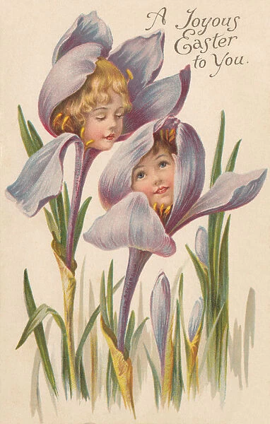 Iris Flower Faces