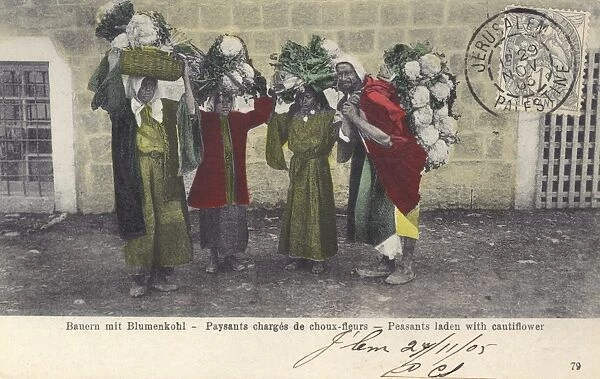Israel - Peasants laden with cauliflowers