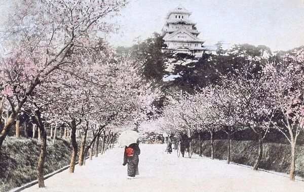 Japan - Himeji Castle, Hyogo Prefecture