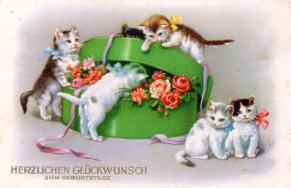 Kittens with box of flowers on a German birthday postcard