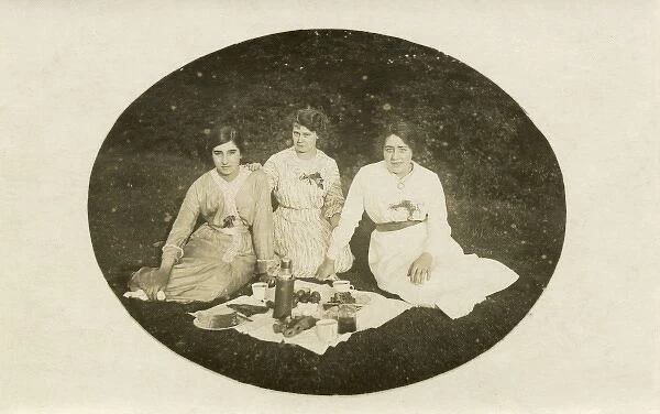Three Ladies Picnic