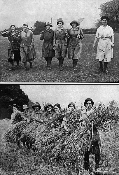 Land Girls bringing in the harvest