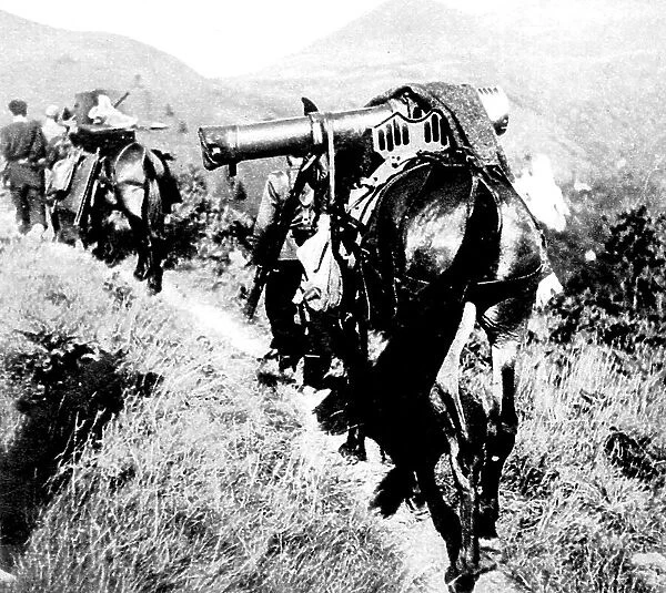 Machine Gun on a Mule, near San Martial; Spanish Civil War