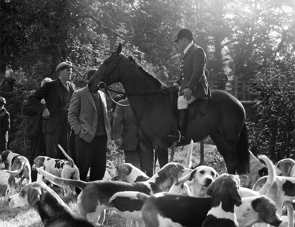 Meet of the Devon and Somerset hounds