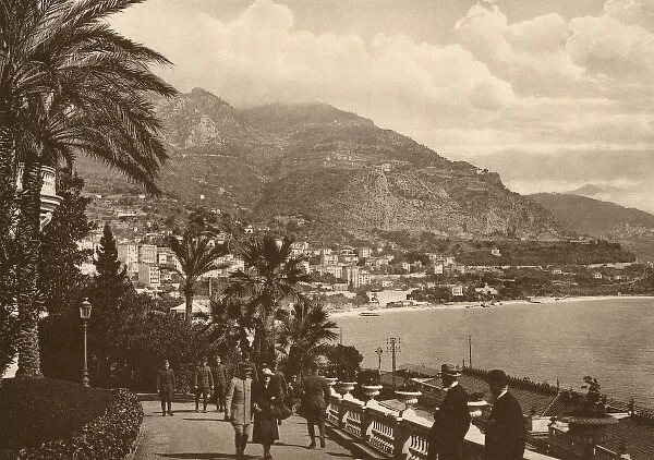 Monte Carlo View