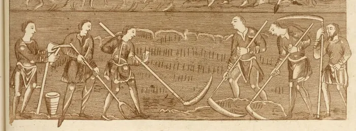 Framed Print : Medieval Farmers Harvesting Crops Print, 9th Century Framed Print : Medieval Farmers Harvesting Crops Print, 9th Century