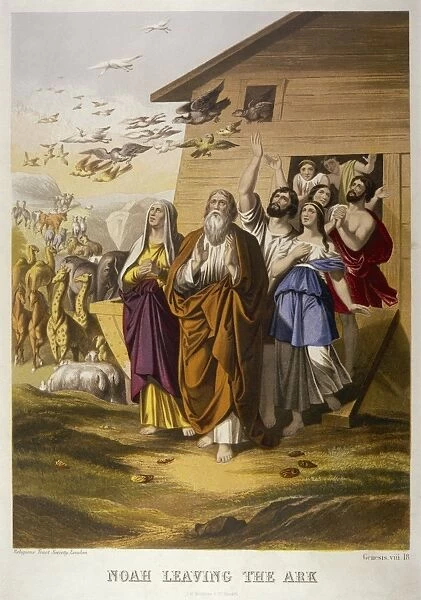 Noah Leaves the Ark