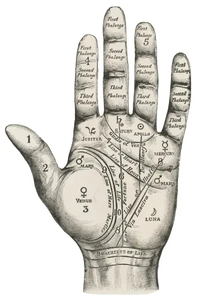 Palmistry map of the hand