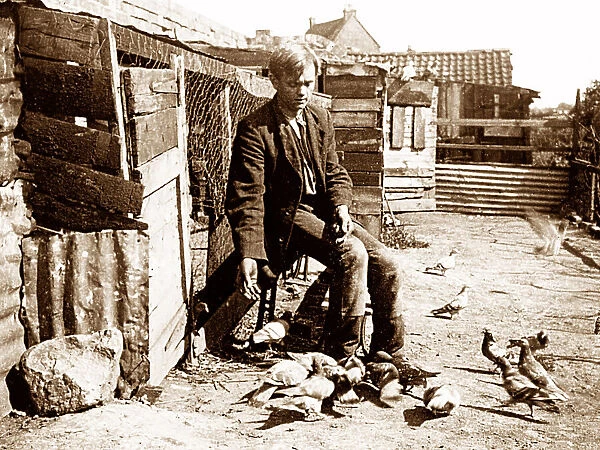 Pigeon Fancier early 1900s