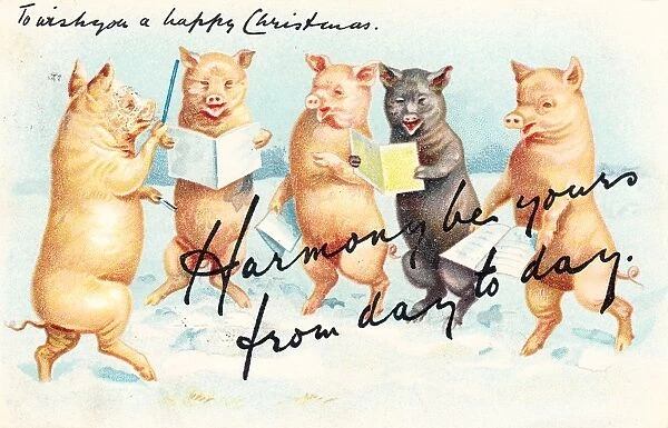 Five pigs singing carols on a Christmas postcard