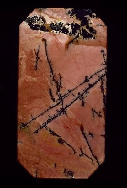 Polished slab of rhodonite