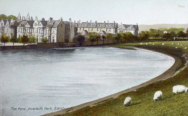 The Pond - Inverleith, Edinburgh