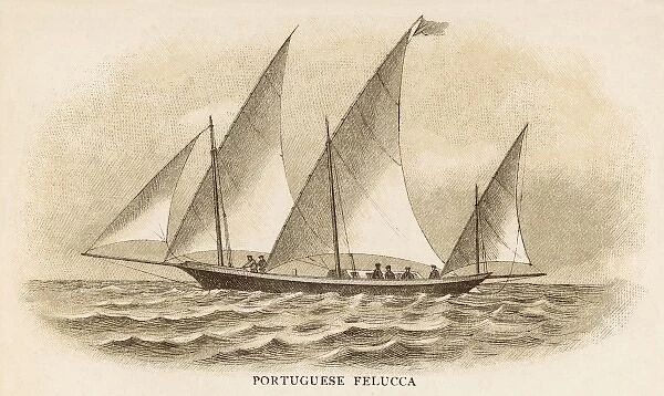 Portuguese Felucca