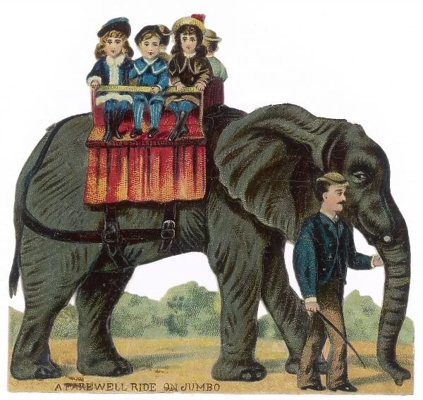 Riding Elephant - Scrap
