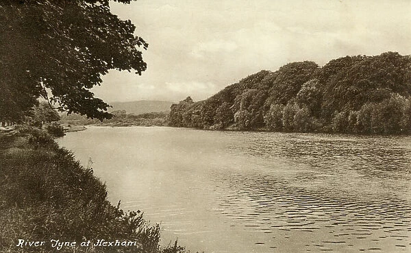 River Tyne at Hexham, Northumberland