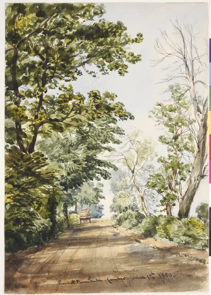 Road at Barnhill, Comber