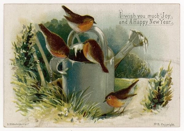 Robins & Watering Can