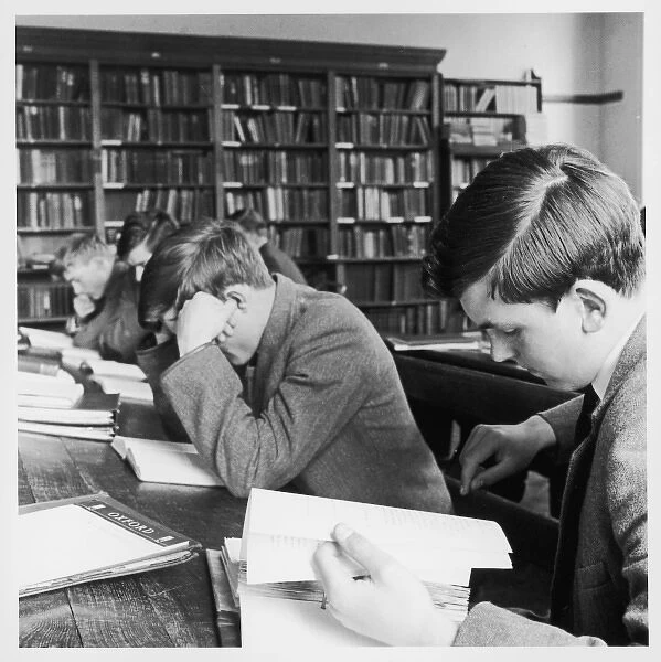 Schoolboys studying in school library