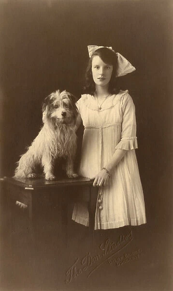Studio portrait, girl with Yorkshire terrier