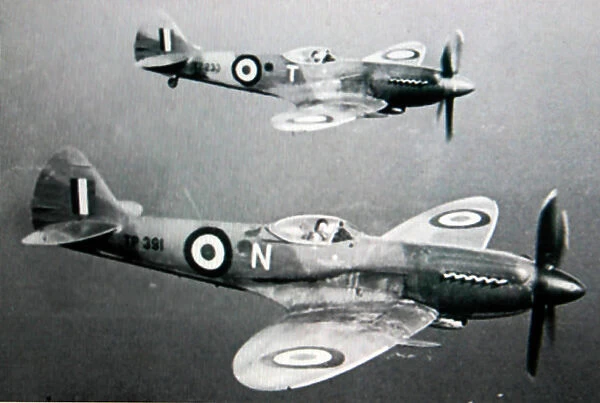 Supermarine Spitfire FR XVIII pair of No208 Squadron RA