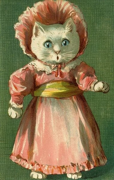 A surprised cat by g h Thompson
