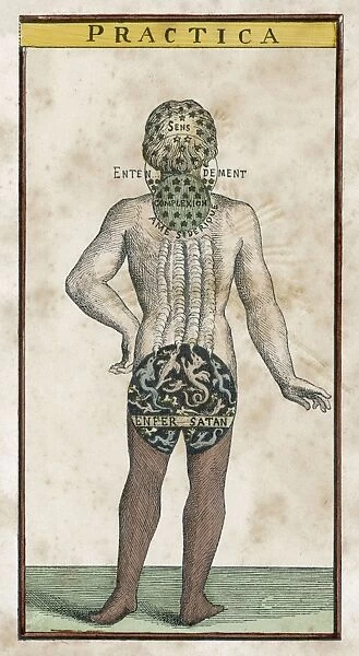 Theosophy Man (Back)