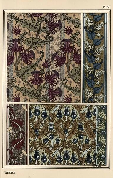 Thistle in art nouveau patterns