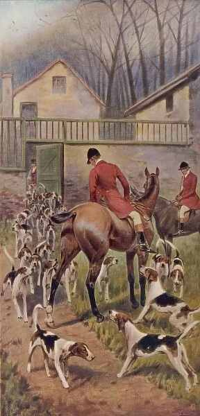 Unkenneling the Hounds