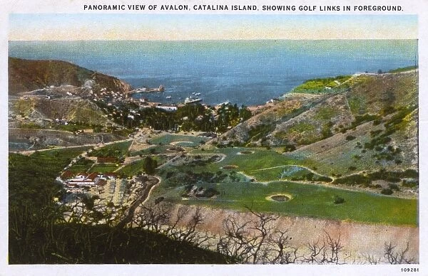 View of Avalon, Santa Catalina Island, California, USA