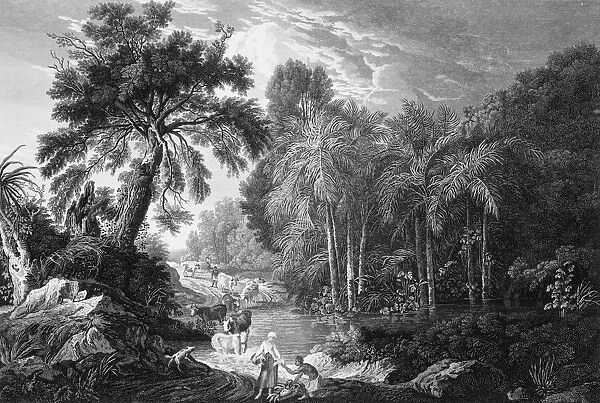 A view in the Island of Jamaica, of the spring-head of Roari