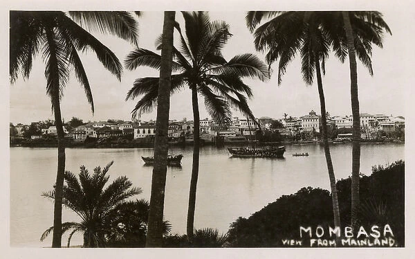 View through palm trees, Mombasa, Kenya, East Africa