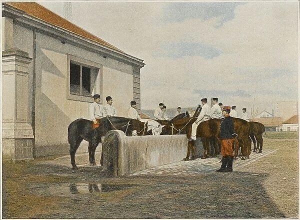 Watering French Horses