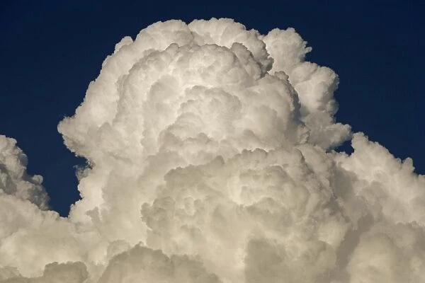 Cumulonimbus Clouds - Arizona - A type of cloud that is tall- dense and involved in thunderstorms and other bad weather - Can form alone-in clusters or along a cold front in a squall line - Forms from cumulus clouds - Typically the clouds that form