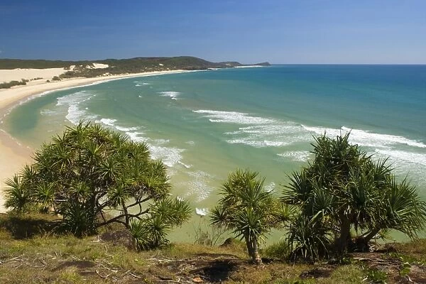 Fraser Island Beach - view of a turquoise-coloured laguna and white dream beach, from Waddy Point towards Sandy Cape - Fraser Island World Heritage Area, Great Sandy National Park, Queensland, Australia