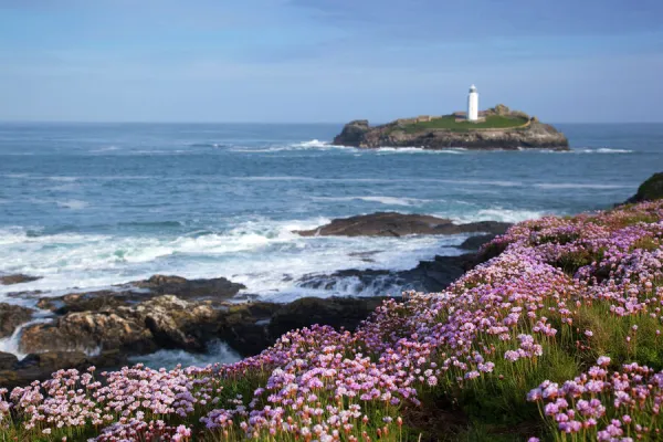 Godrevy Island and Lighthouse - from Gwithian - thrift - Cornwall - UK