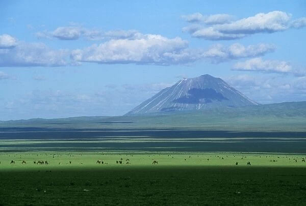 Ol Doinyo Lengai - Volcano Sacred to Massai & Wildebeeste Rift Valley - Ngorongoro Conservation Area - Tanzania JFL11640