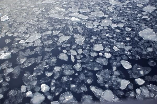 Pack Ice in Antarctica - Pancake Ice