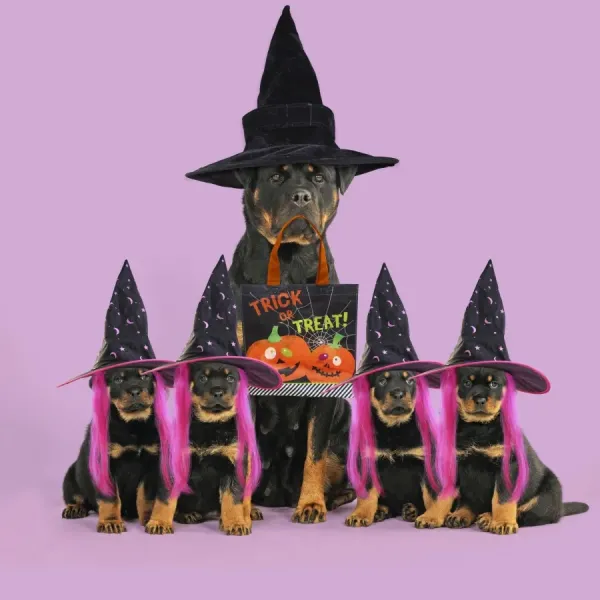 Rottweiler Dog with Puppies in Halloween Costumes Art