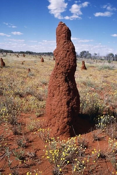 Termite Mound Nr. Alice Springs, Northern Territory, Australia