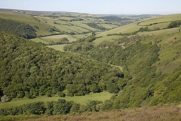 Wooded valley on Exmoor taken from Countrygate Country Park near Porlock Somerset UK