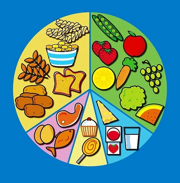 Balanced diet, computer artwork. A balanced diet shown as segments of a pie