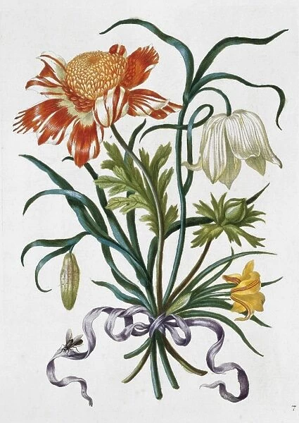 Bouquet of flowers, 17th century artwork C013  /  6580